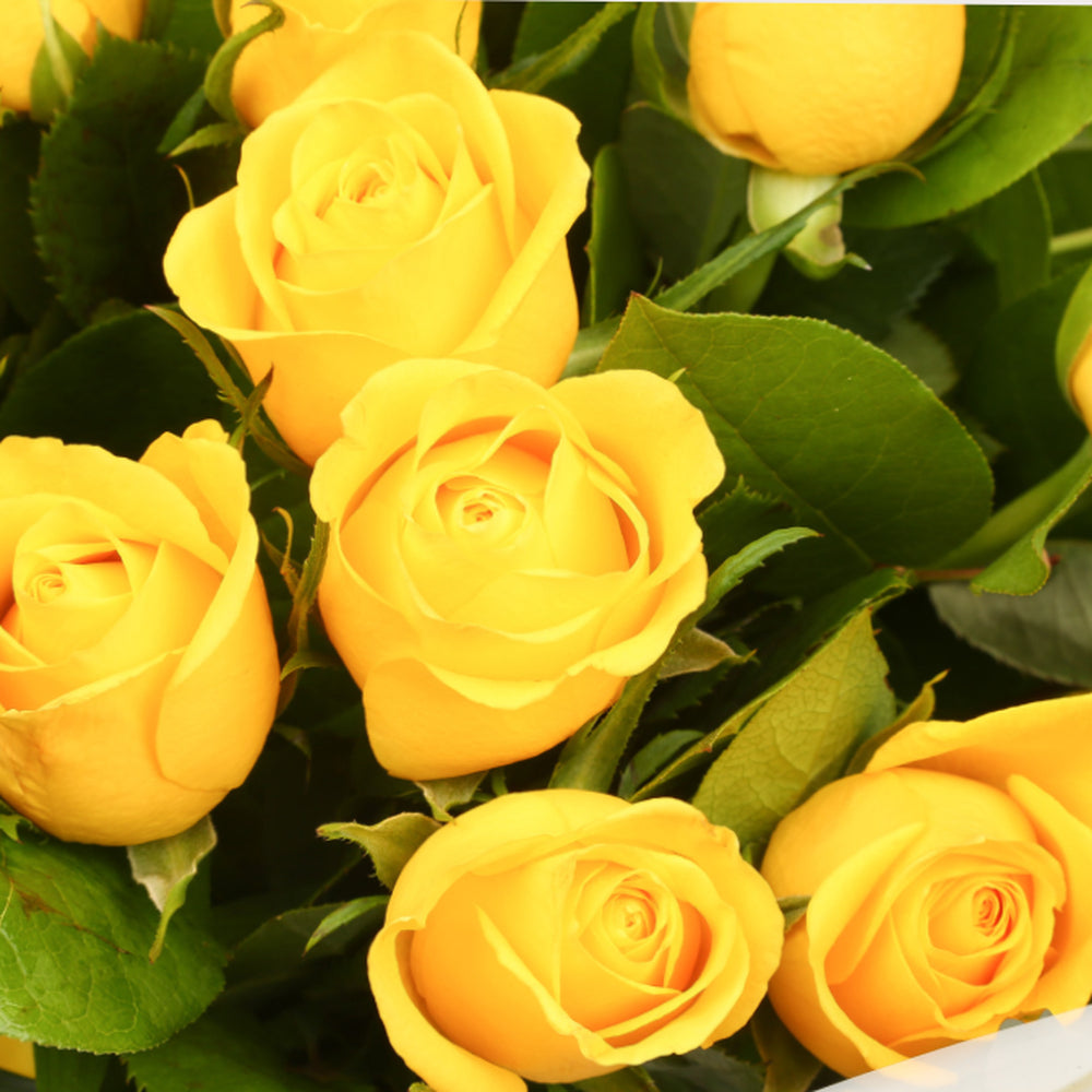 Yellow Gold Roses Delightful Flora