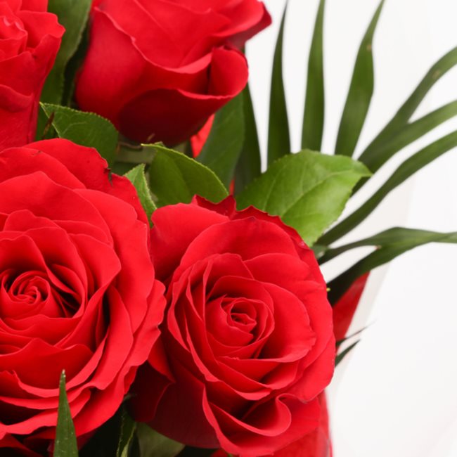 12 Red Roses Design 12 Red Roses – Delightful Flora