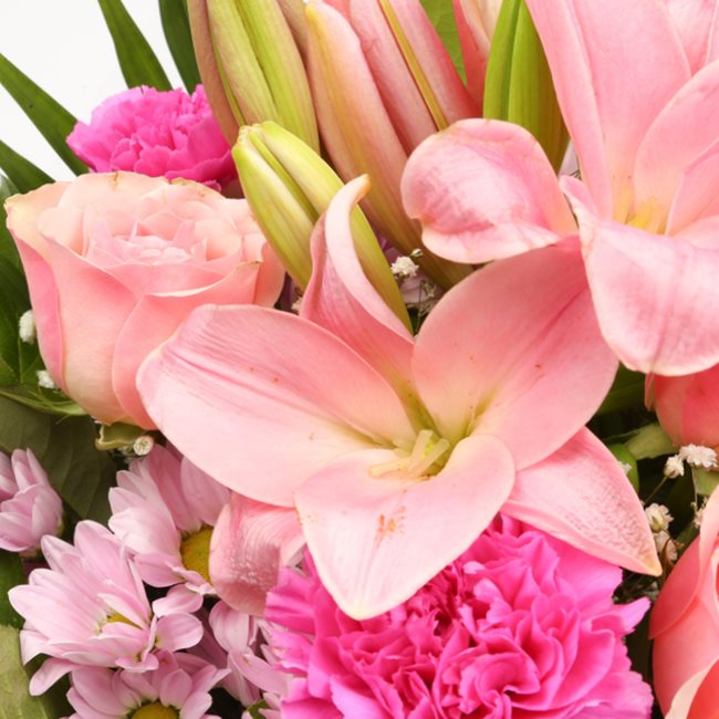 flowers Delightful Flora