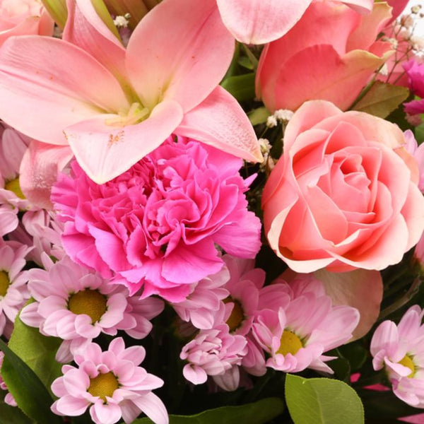 flowers Delightful Flora