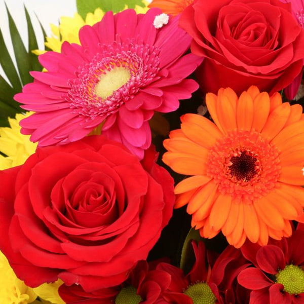 Beauty Blooms Bouquet Delightful Flora