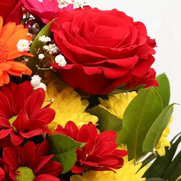 Beauty Blooms Bouquet Delightful Flora