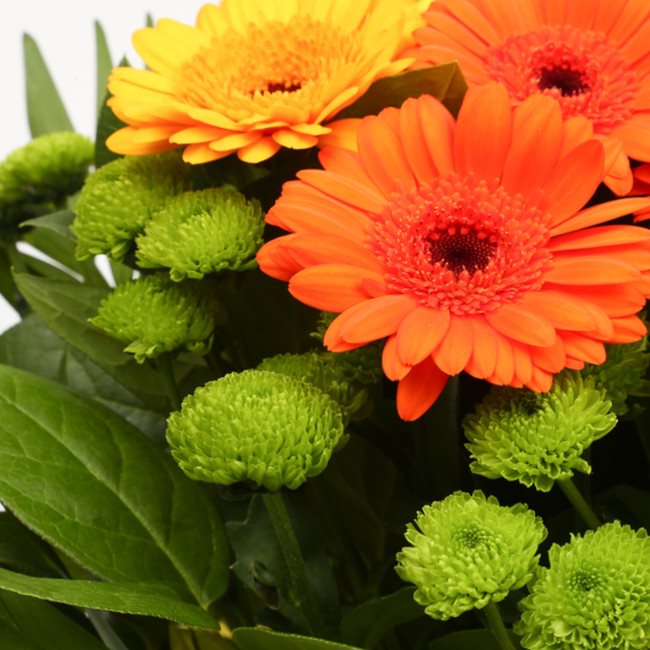 Sunny Days Bouquet Delightful Flora