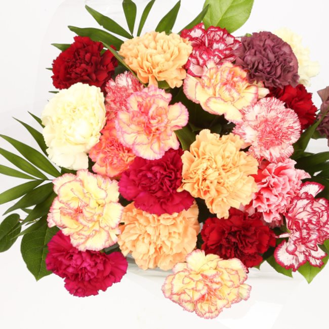 Candy Floss Bouquet Delightful Flora