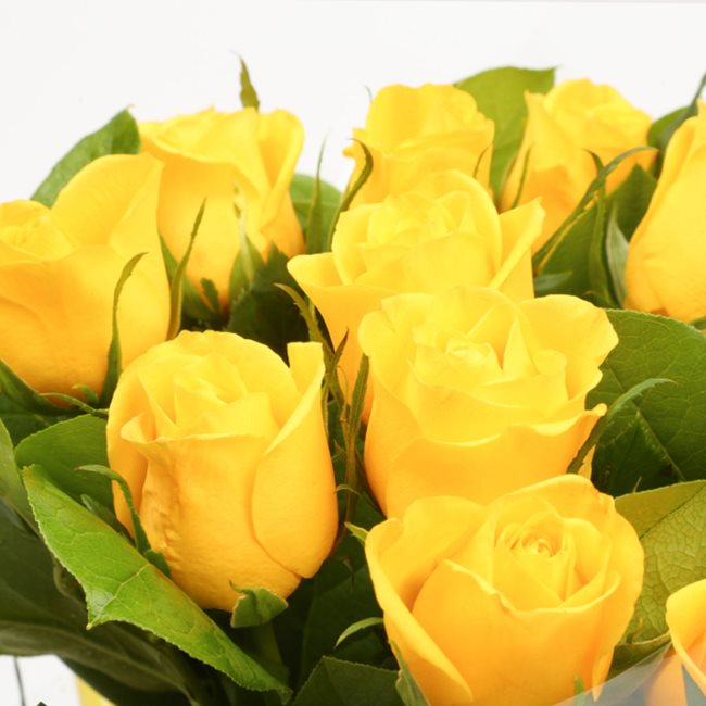 Yellow Gold Roses Delightful Flora