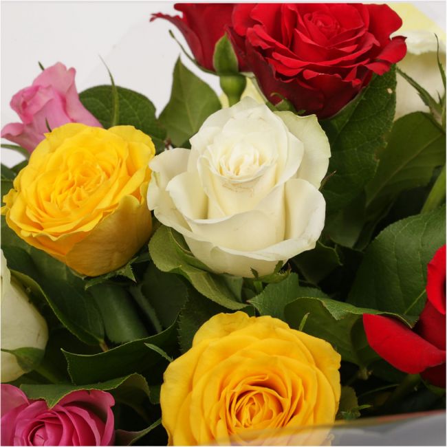 12 Beautiful Mixed Roses – Delightful Flora