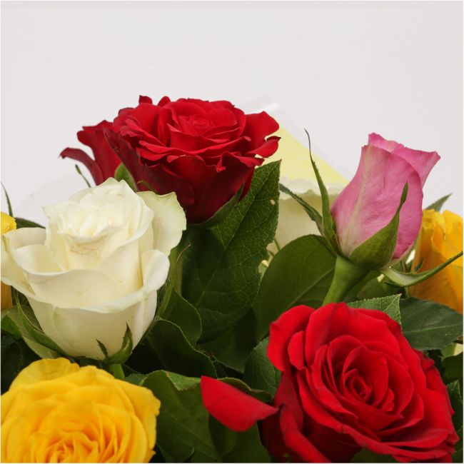 12 Beautiful Mixed Roses – Delightful Flora